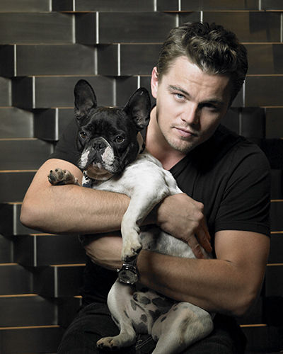 celebrities and their dogs